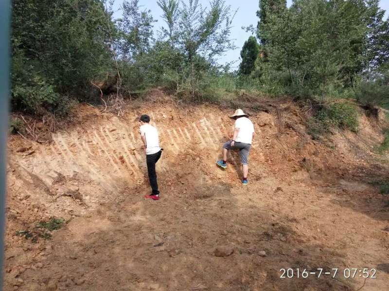 我院土管专业进行野外土调详查实习