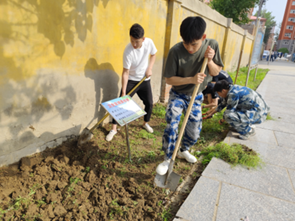 劳动教育|保定理工学院|管理学院|学习劳动精神·践行劳动育人-跟着节气学种植，分享劳动创造的美好乐趣