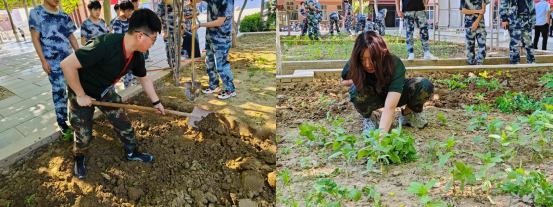 开展种植活动 提高劳动技能