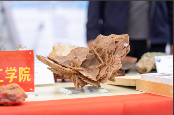 保定理工学院资源与工程技术学院地质馆成功举办主题宣讲活动