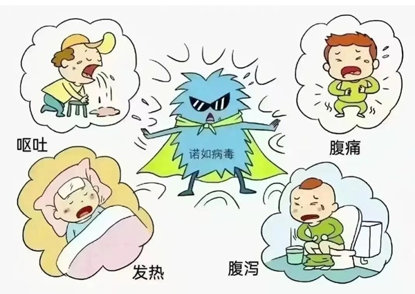 疾病防控|保定理工学院|管理学院|诺如病毒进入高发期，这份防护指南请收好！