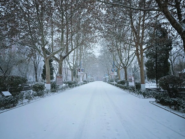 寒假限定！保理的初雪，把浪漫寄给返乡的你