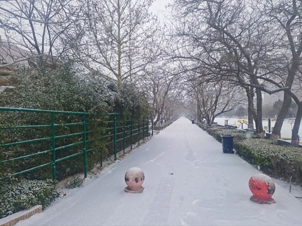 寒假限定！保理的初雪，把浪漫寄给返乡的你