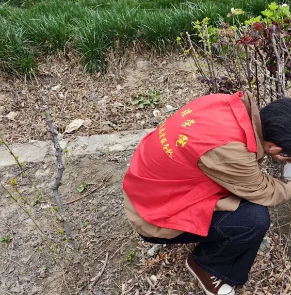 养成教育|保定理工学院管理学院学子以“弯腰行动”行动诠释文明素养