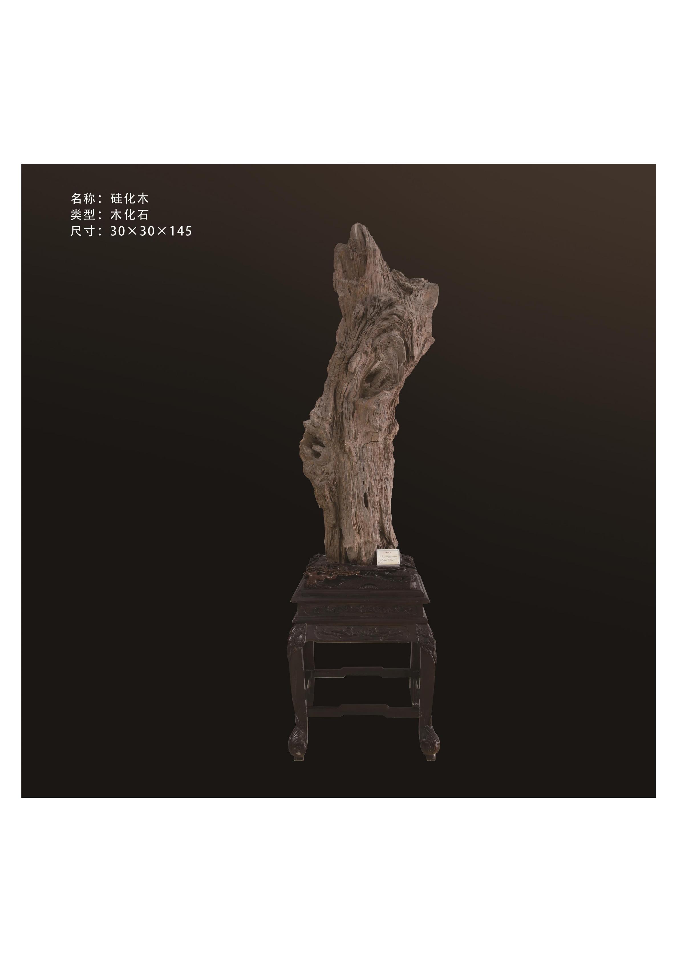 简介