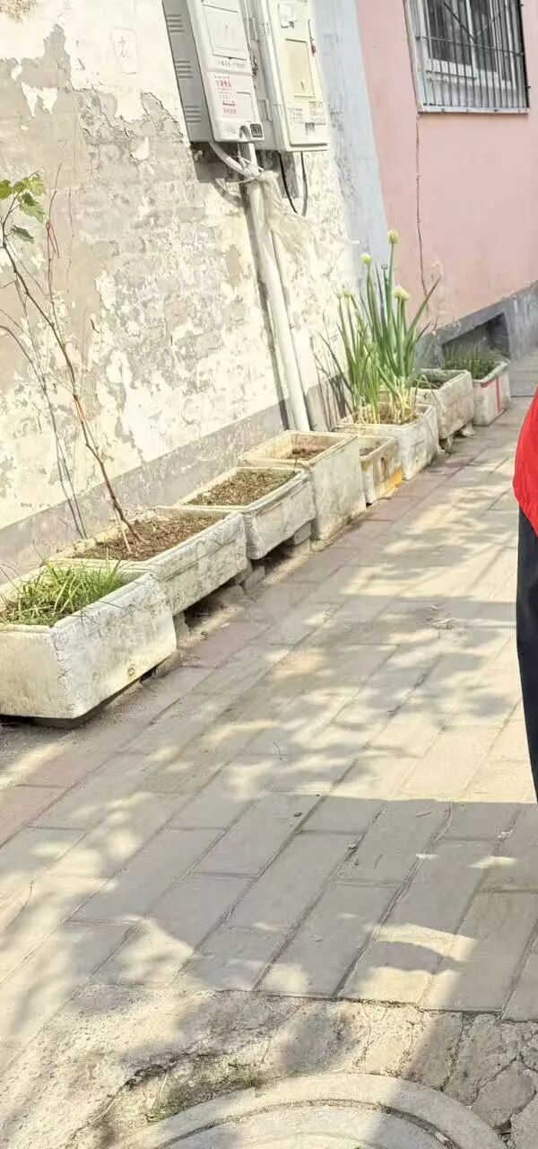 养成教育|保定理工学院管理学院开展社区志愿服务实践活动（二）