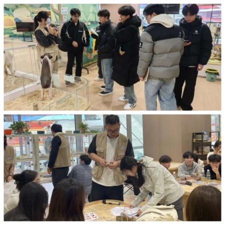 课堂搬进商业综合体，设计赋能地方文旅发展保定理工学院艺术学院校企实践收获企业感谢信