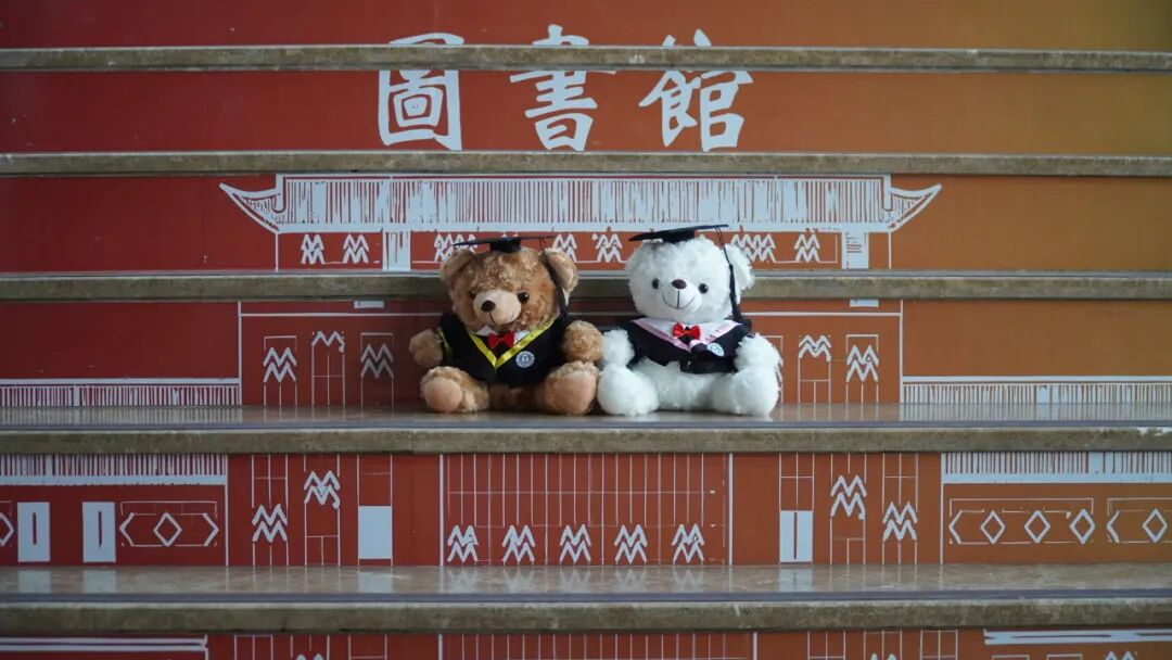 保理限定——这只毕业熊,装下了我们的四年