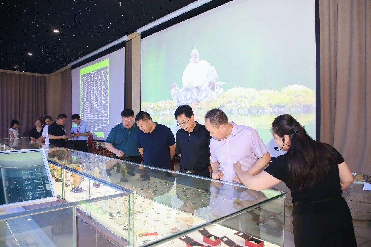 深化校地协同 赋能科技创新——市科协领导莅临保定理工学院交流指导