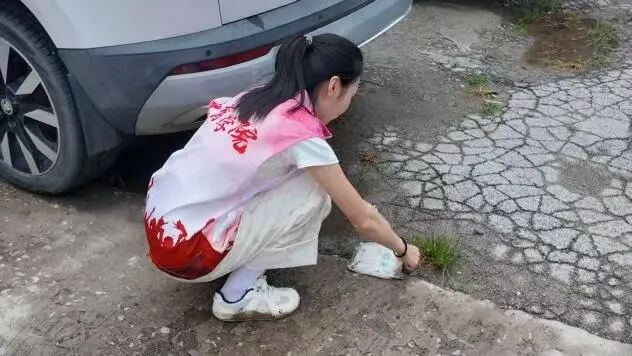 【教育学院·社会实践】躬行实践担使命，青春志愿绽芳华
