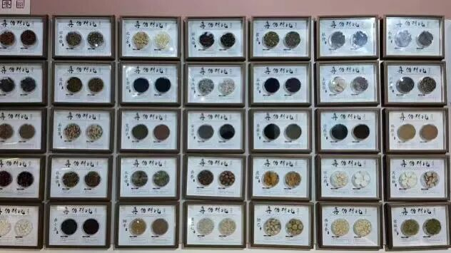 【教育学院·社会实践】躬行实践担使命，青春志愿绽芳华